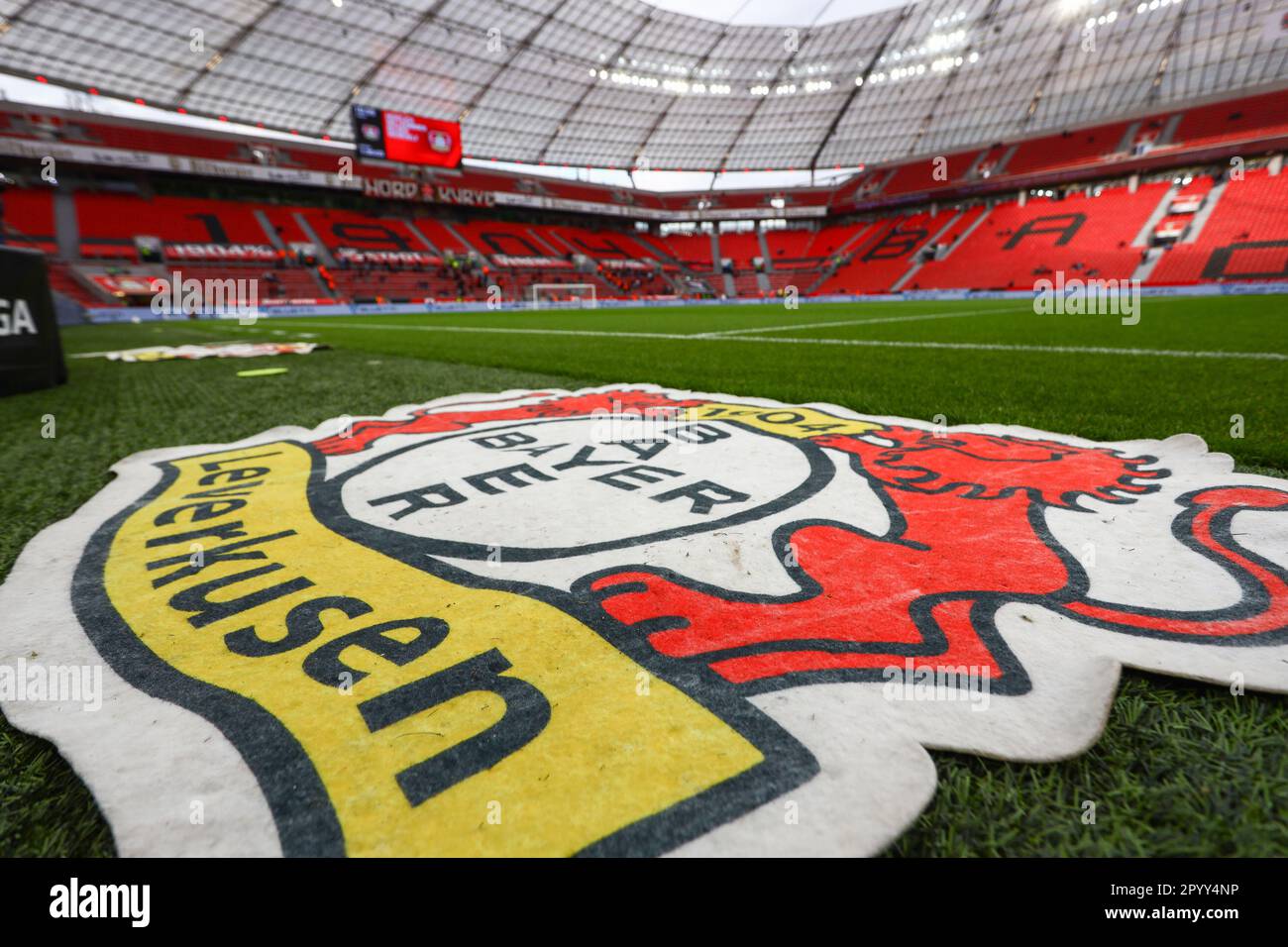 Leverkusen, Deutschland, 05.05.2023: Bayer 04 Leverkusen v. 1. FC Köln, Fußball, 1. Bundesliga, Spieltag 31, Staffel 2022/2023, 31.03.2023 die BayArena, Leverkusen DFL-VORSCHRIFTEN VERBIETEN DIE VERWENDUNG VON FOTOS ALS BILDSEQUENZEN UND/ODER QUASI-VIDEO. Kredit: NewsNRW / Alamy Live News Stockfoto