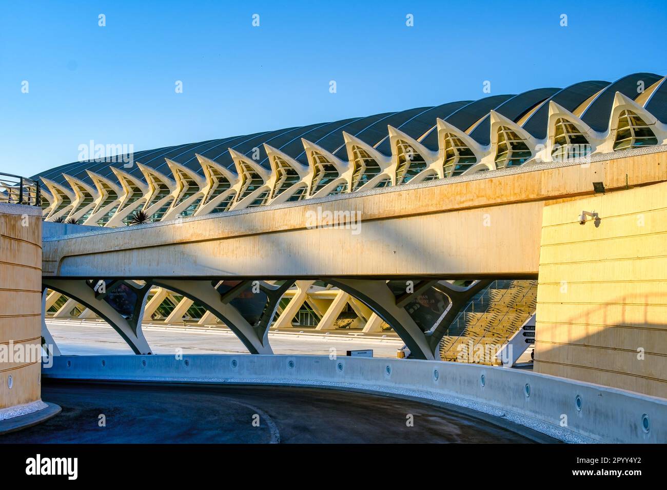 Valencia, Spanien - 17. Juli 2022: Teil der Außenarchitektur des Principe Felipe Science Museum (Spanisch: Museo de las Ciencias Príncipe Feli) Stockfoto Valencia, Spanien - 17. Juli 2022: Teil der Außenarchitektur des Principe Felipe Science Museum (Spanisch: Museo de las Ciencias Príncipe Feli) Stockfoto