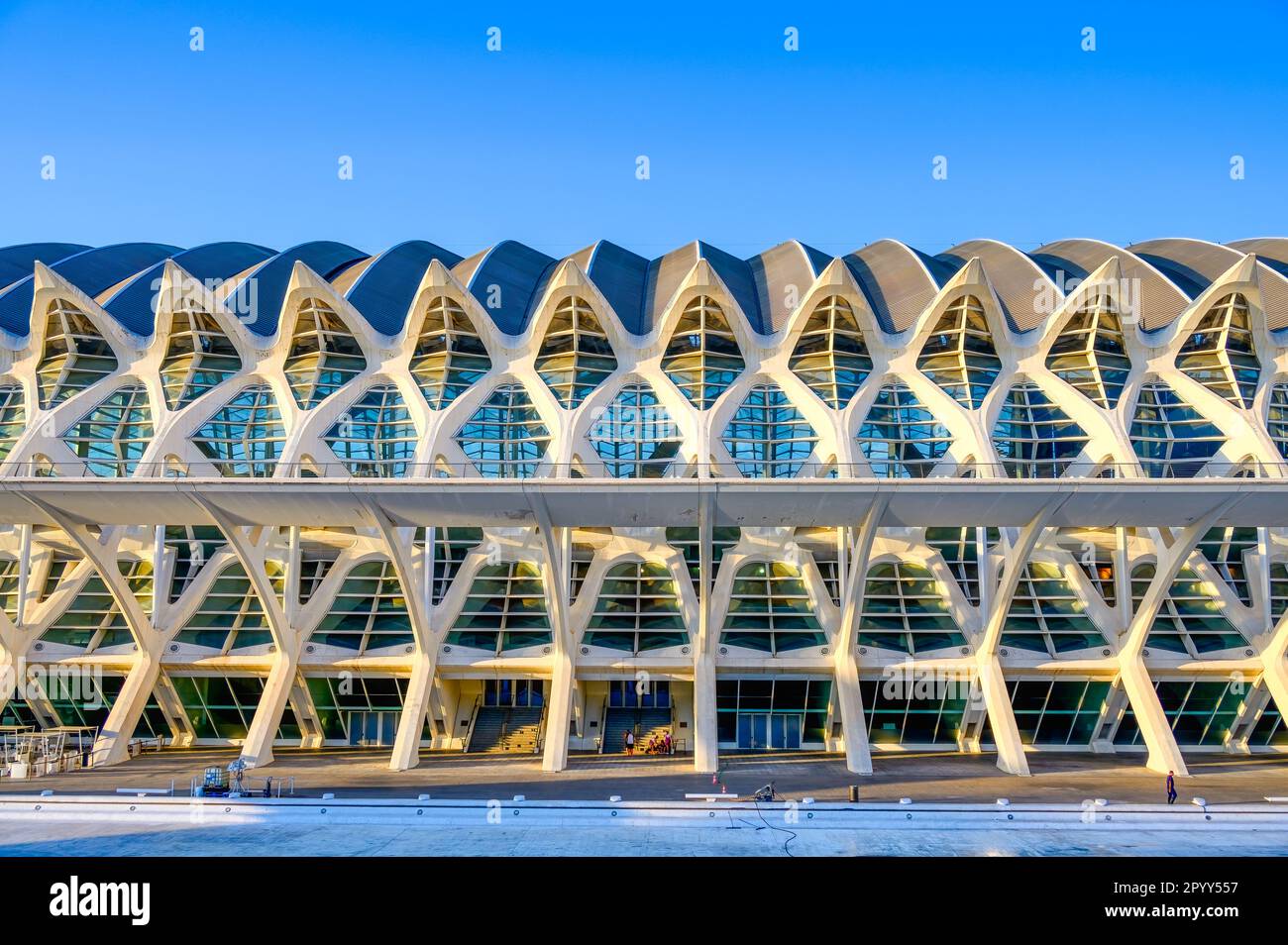 Valencia, Spanien - 17. Juli 2022: Teil der Außenarchitektur des Principe Felipe Science Museum (Spanisch: Museo de las Ciencias Príncipe Feli) Stockfoto Valencia, Spanien - 17. Juli 2022: Teil der Außenarchitektur des Principe Felipe Science Museum (Spanisch: Museo de las Ciencias Príncipe Feli) Stockfoto