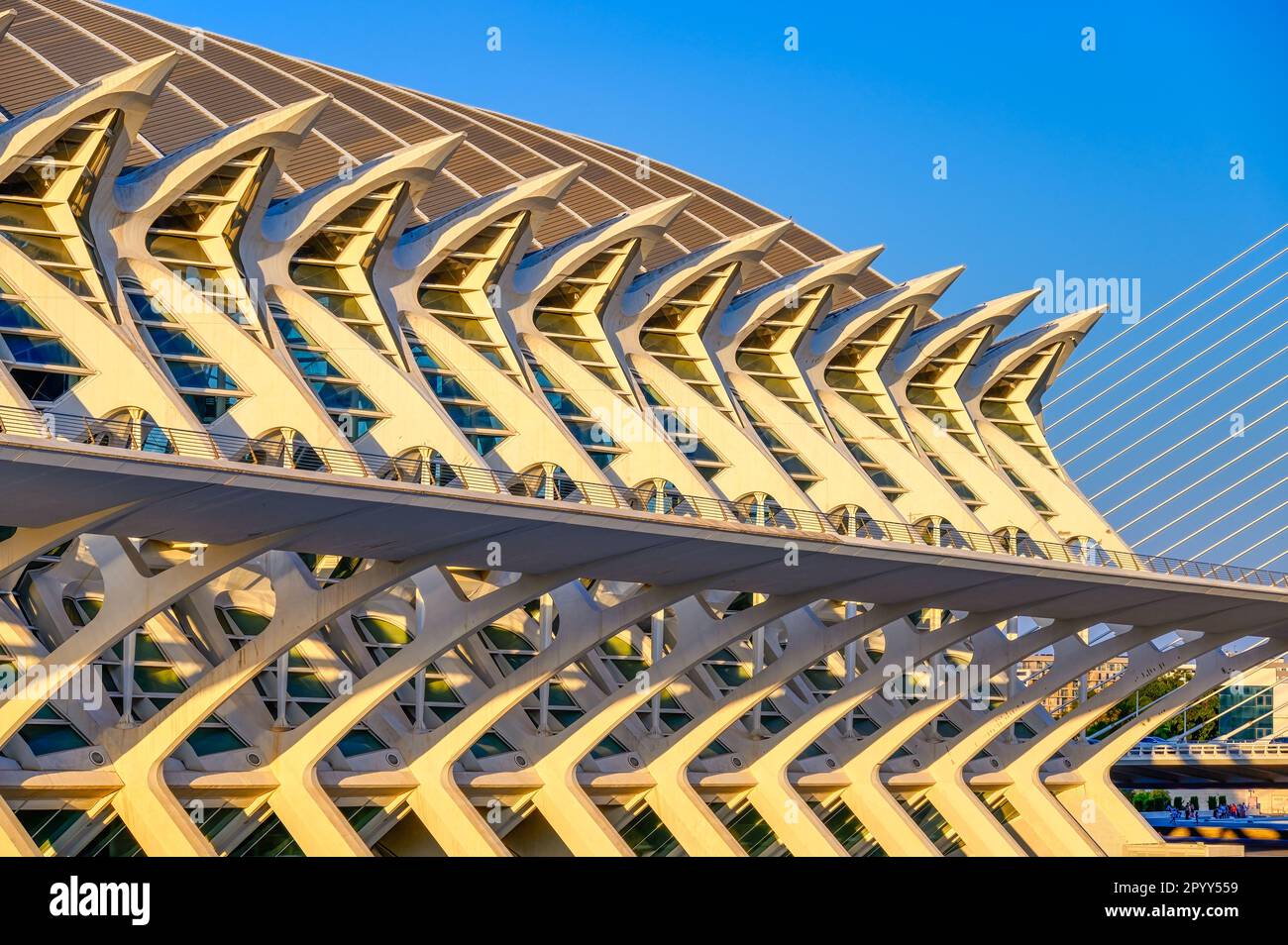 Valencia, Spanien - 17. Juli 2022: Außenarchitektur des Principe Felipe Science Museums (Spanisch: Museo de las Ciencias Príncipe F. Stockfoto Valencia, Spanien - 17. Juli 2022: Außenarchitektur des Principe Felipe Science Museums (Spanisch: Museo de las Ciencias Príncipe F. Stockfoto