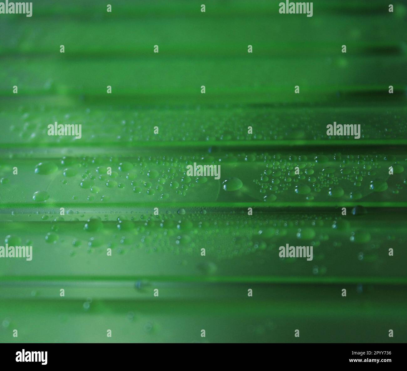Grüne, Durchsichtige Kunststoffoberfläche Mit Tropfen Und Kondensat, Makrofoto Stockfoto