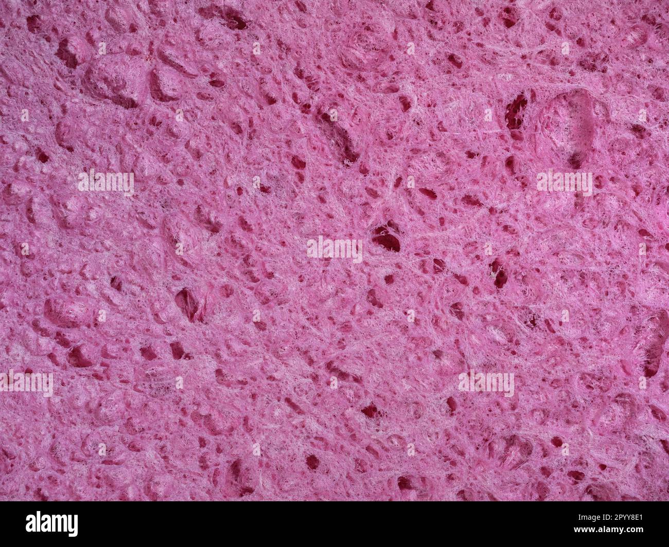 Grobe Konsistenz eines rosafarbenen Schwammes. Abstrakter Hintergrund für Nahaufnahmen Stockfoto