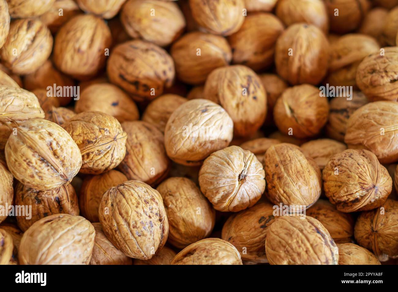 Walnüsse. Viele Walnussfrüchte. Blick von oben. Walnusshintergrund. Selektiver Fokus. Stockfoto
