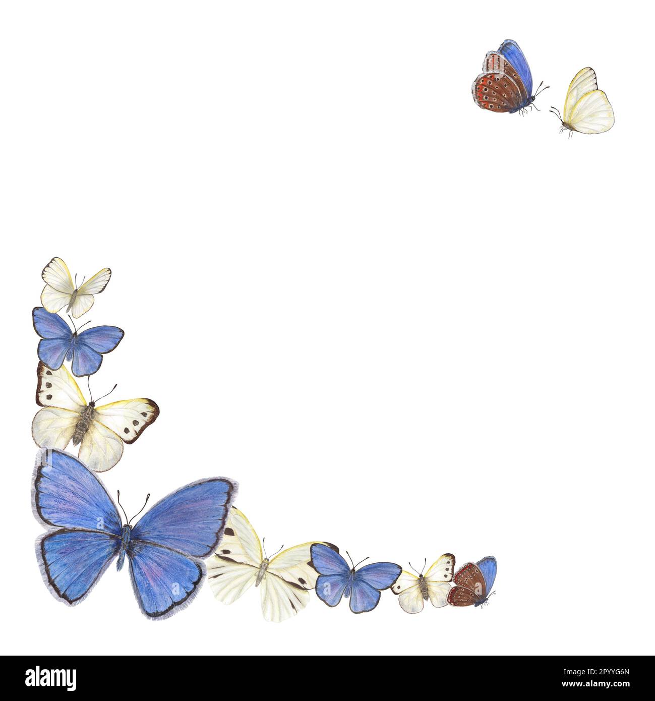 Aquarell mit Schmetterlingen auf weißem Hintergrund. Abbildung enthält Platz für Ihren Text. Als Begrüßung, Geburtstagskarten Stockfoto