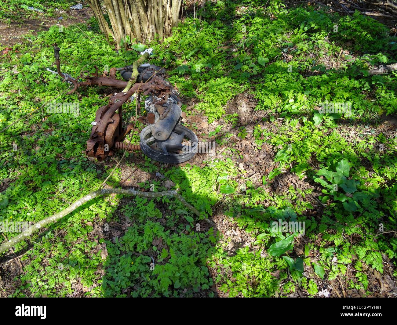 Natürliche, intime Landschaft, die die Farben, Muster und Texturen der gefundenen Umgebung demonstriert Stockfoto