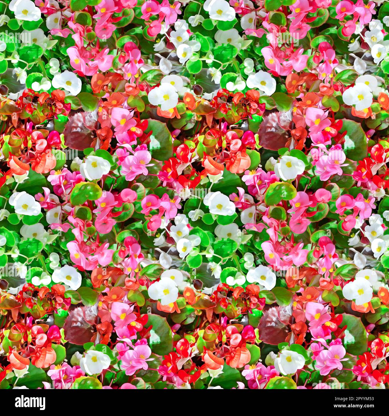 Blühendes Blumenbeet im Park mit nahtlosem Muster. Stockfoto