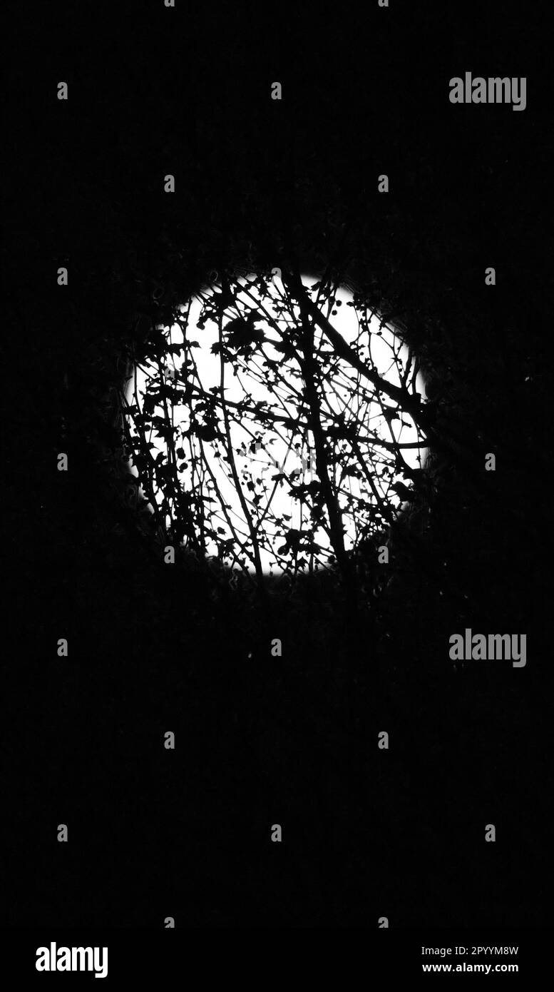 Der Vollmond erhebt sich in den Himmel über der Stadt Gravesend in Kent. Stockfoto
