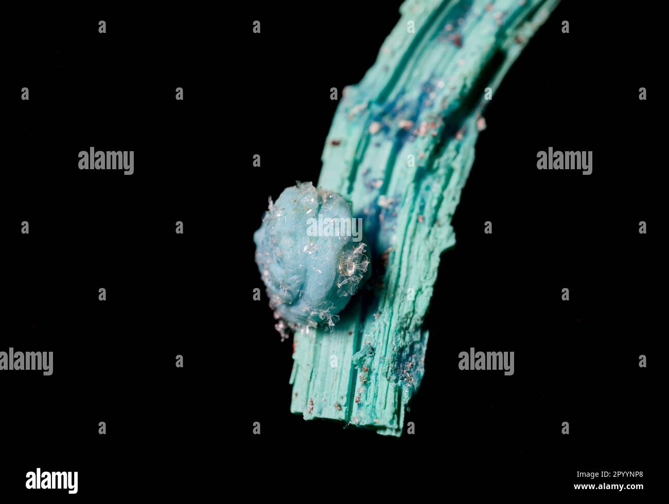Nahaufnahme einer auf Schwarz isolierten Chalcanthit-Mineralprobe Stockfoto