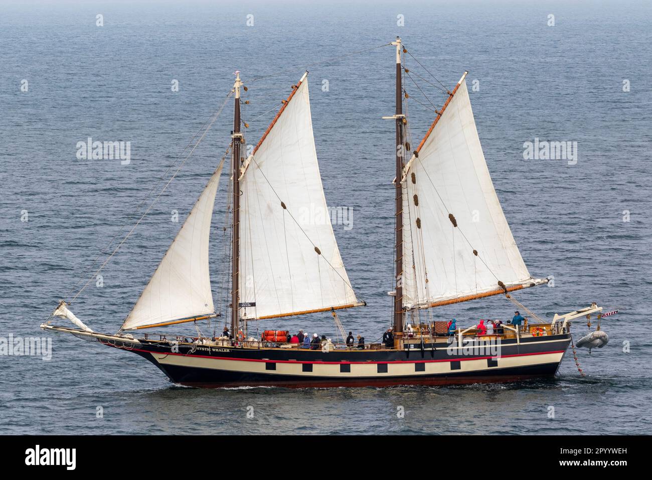 Schoner Mystic Whaler, Santa Barbara, Kalifornien, USA Stockfoto