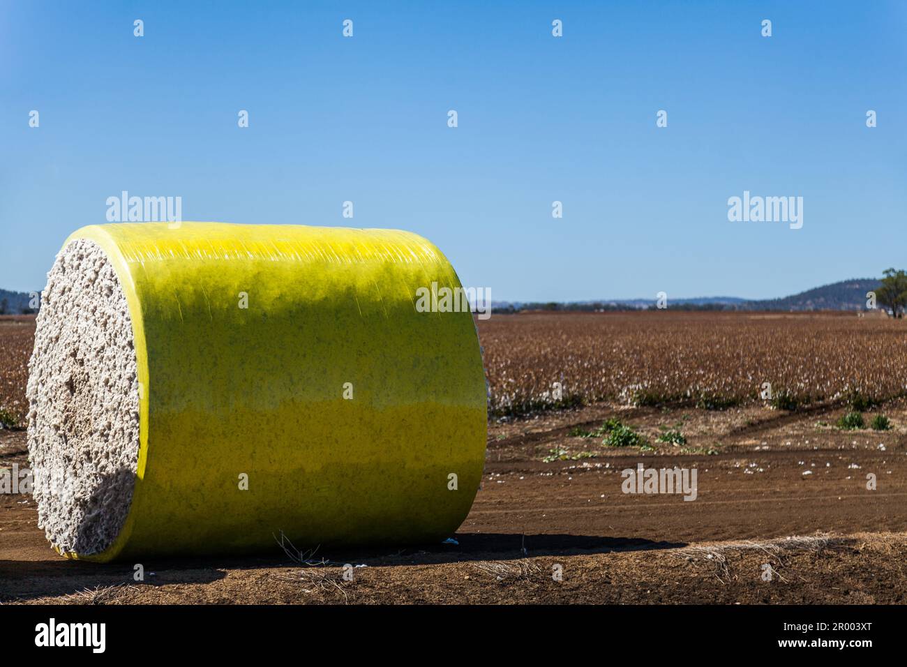 Runder Baumwollballen auf einem Bauernhof im ländlichen Australien Stockfoto