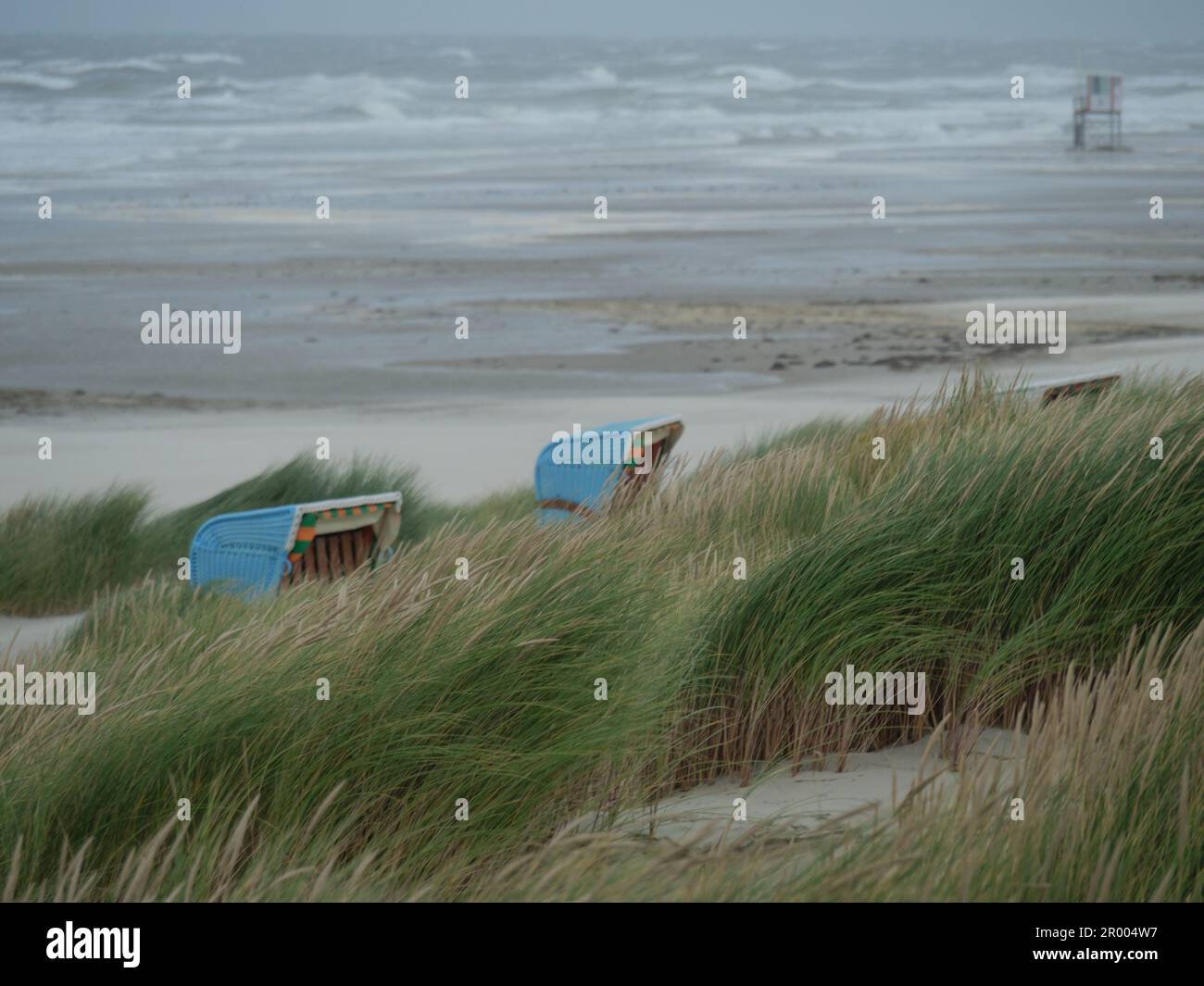 Zwei blaue Liegestühle an einem unberührten Strand mit üppigem grünen Gras im Vordergrund Stockfoto