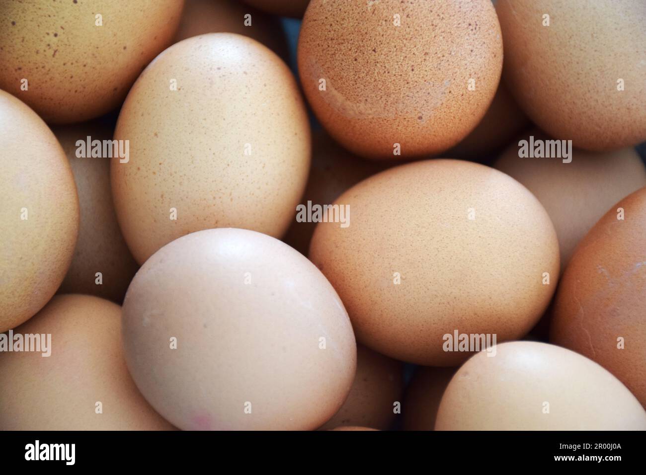 Nahaufnahme von Bio-Eiern auf dem Markt, nachhaltiger Markt - kein Plastik - frische Eier einkaufen Stockfoto