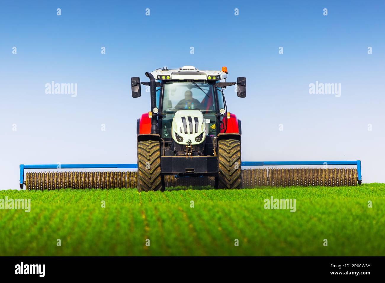 Traktor mit Rollenbearbeitung auf Federfeld. Das Walzen des Bodens unterstützt die Keimung und bildet die Grundlage für eine gute Ernte, den ökologischen Landbau und die Agrarwirtschaft Stockfoto