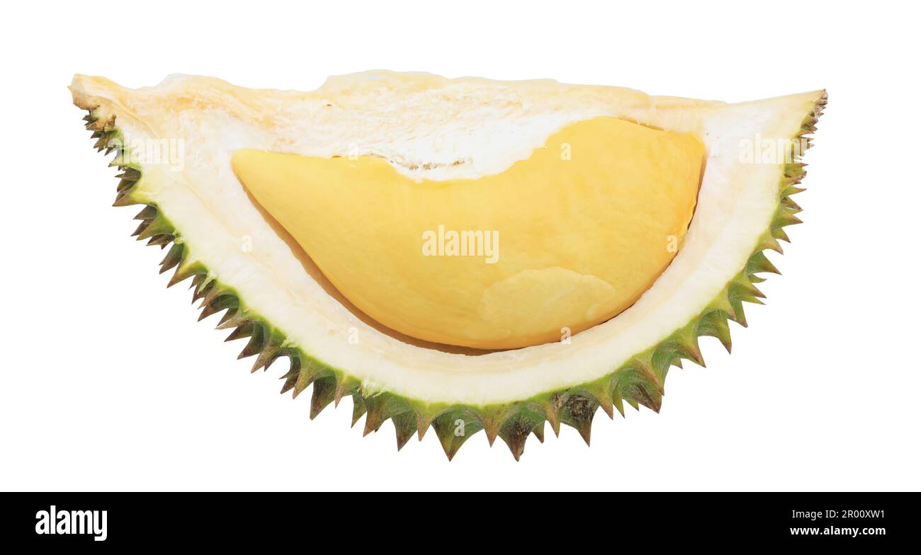 Halbierte Durianfrucht, isoliert auf weißem Hintergrund. Stockfoto