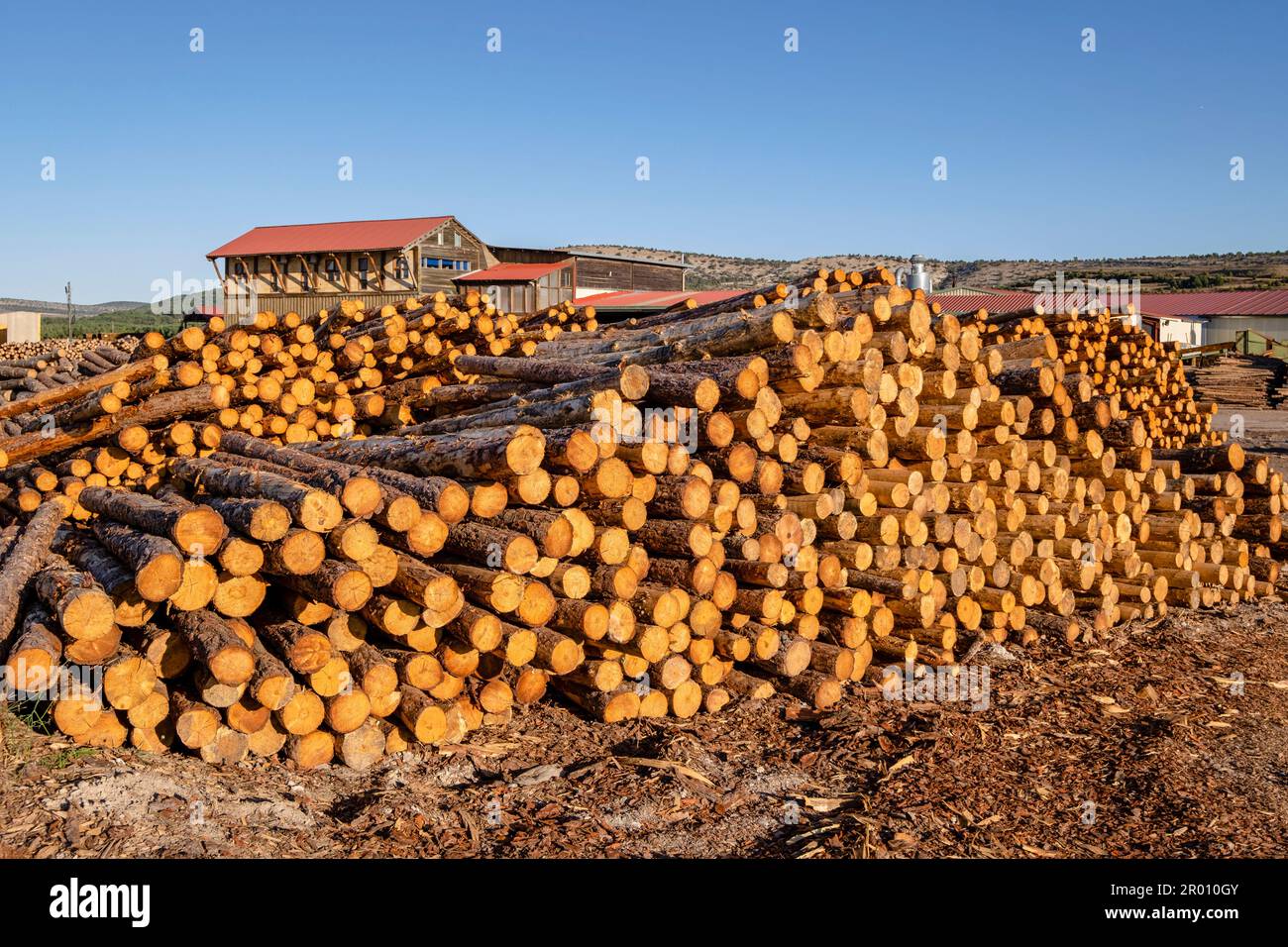 industria de la madera, Cabrejas del Pinar, Soria, Comunidad Autónoma de Castilla, Spanien, Europa Stockfoto