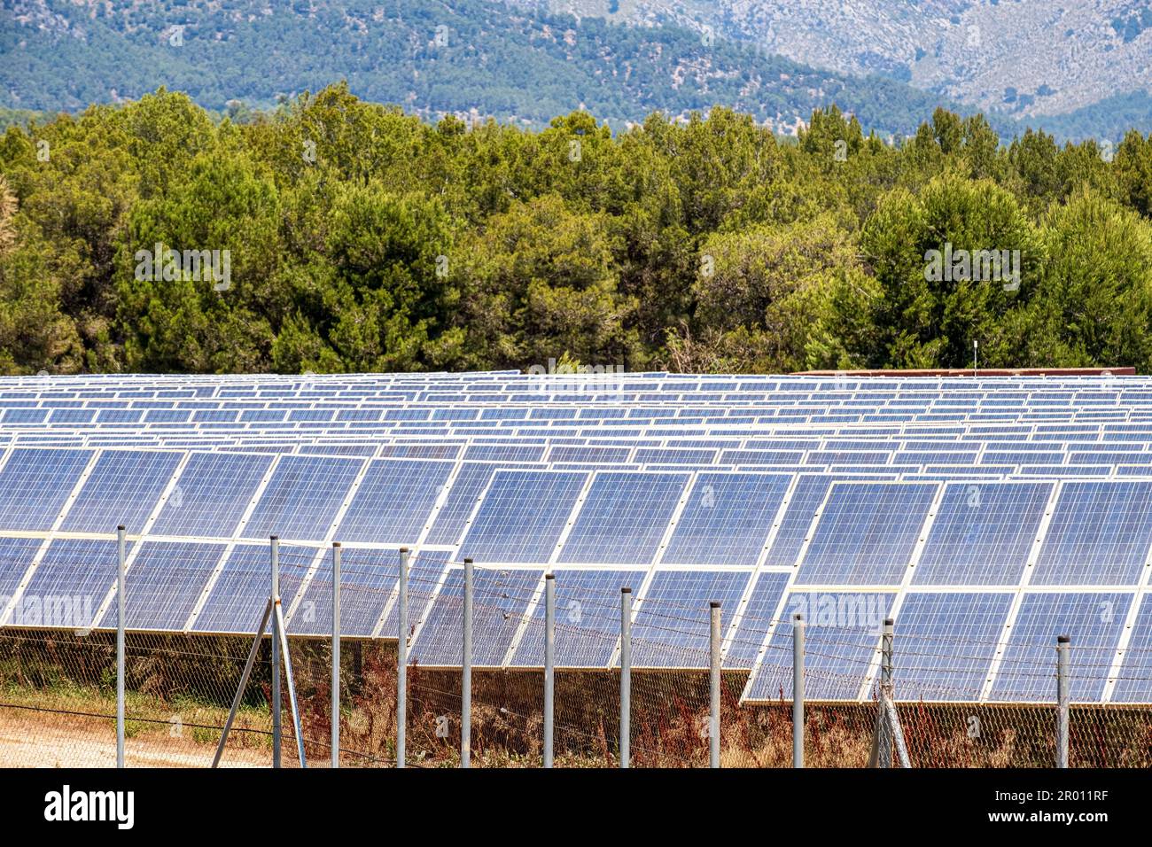 parque de energía Solar fotovoltaica, ses Barraques, Calviá, Mallorca, Balearen, Spanien Stockfoto