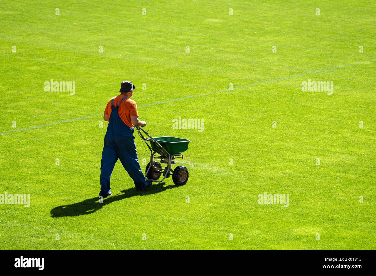 Der Platzwart verteilt Dünger für Gras auf einem Fußballplatz Stockfoto