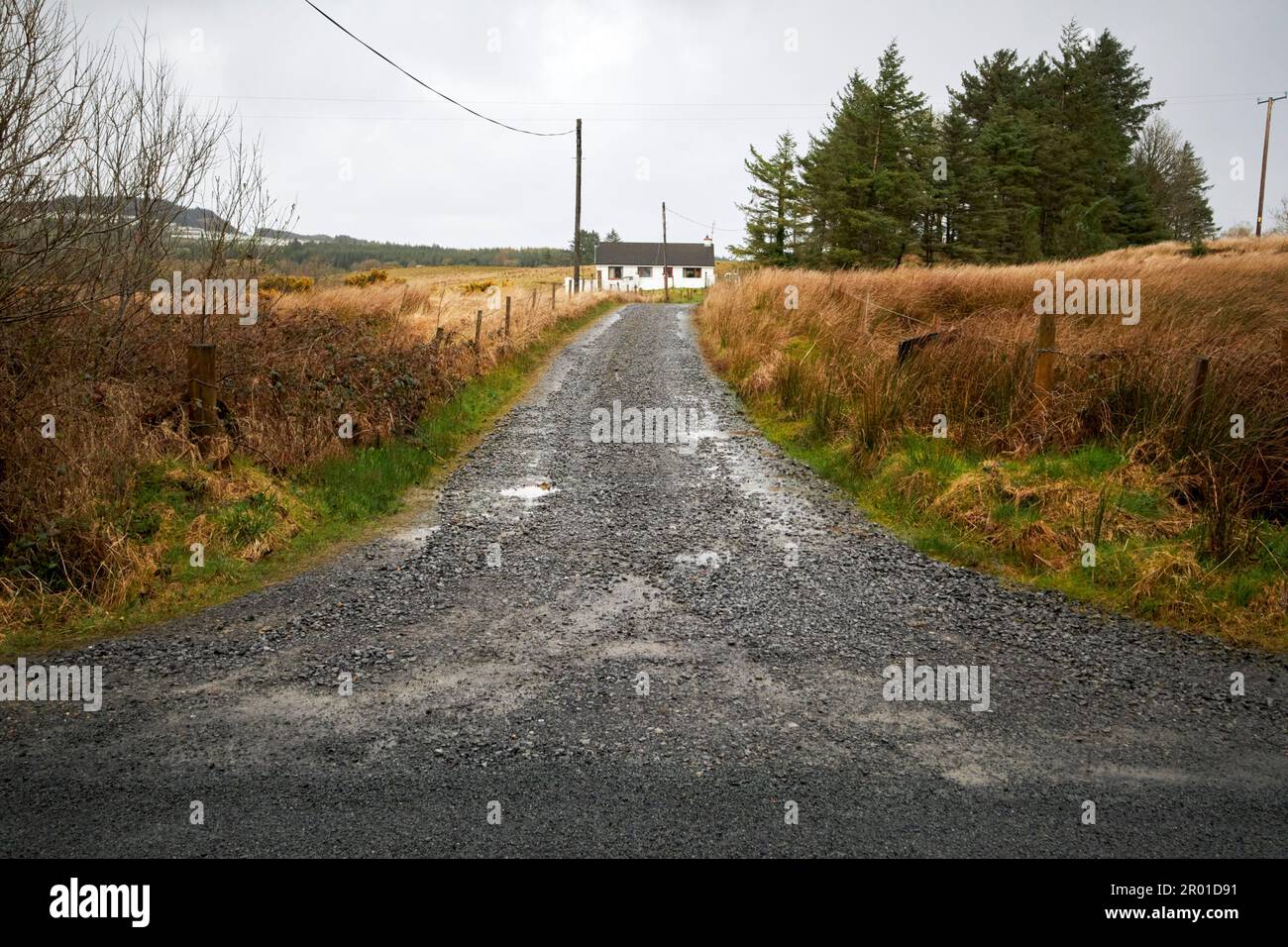 Raue Landstraße, die zu einem Cottage in abgelegener Gegend der Grafschaft donegal in Rain republik irland führt Stockfoto