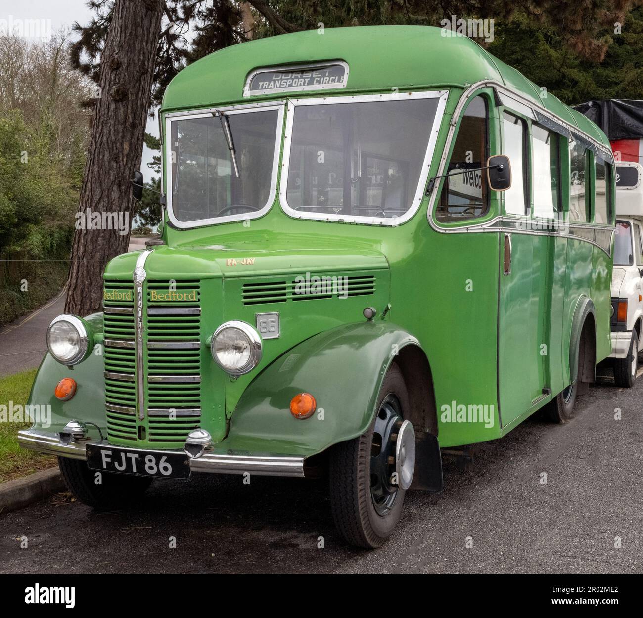 Vintage 1952 Bedford MLC, Reisebuskennzeichen FJT 86, fotografiert auf dem Parkplatz des Bahnhofs in Torquay, Cornwall, England, Großbritannien Stockfoto