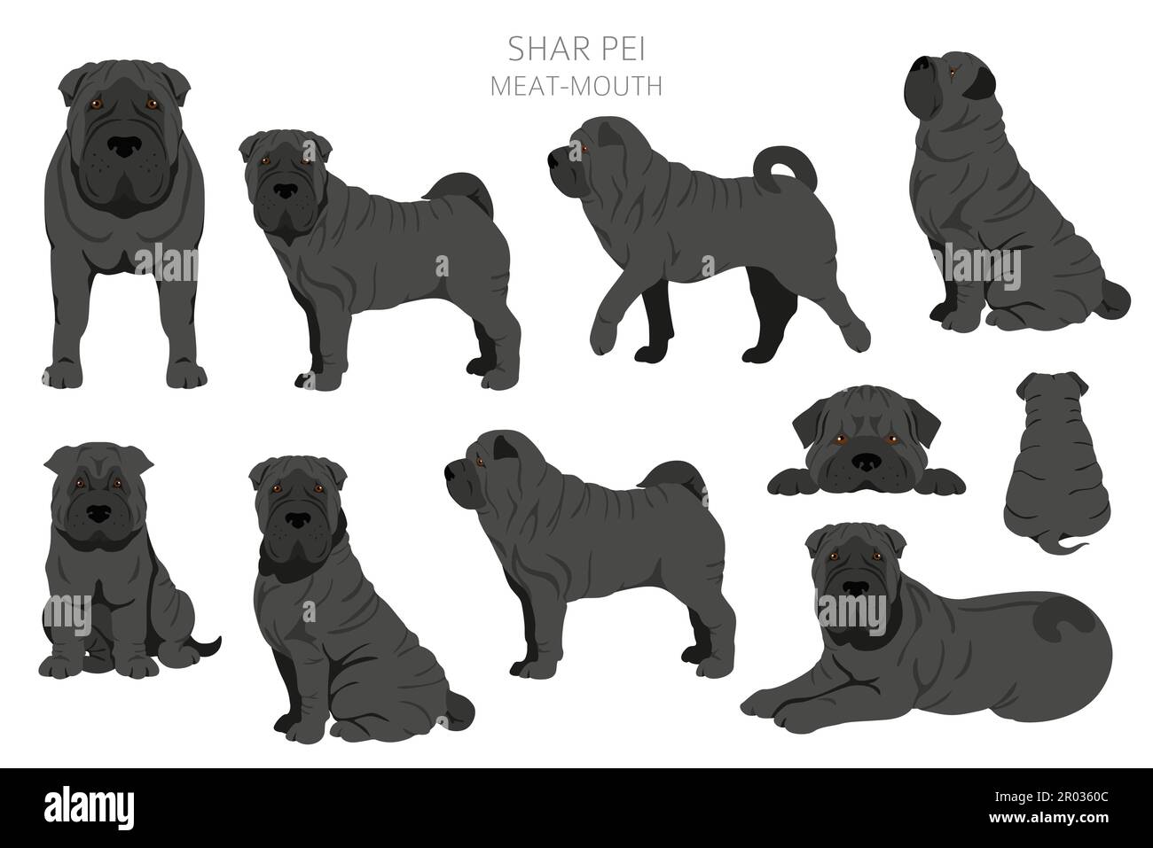 Shar Pei (modern) Fleisch Mund Cliparts. Verschiedene Posen, Fellfarben eingestellt. Vektorgrafik Stock Vektor