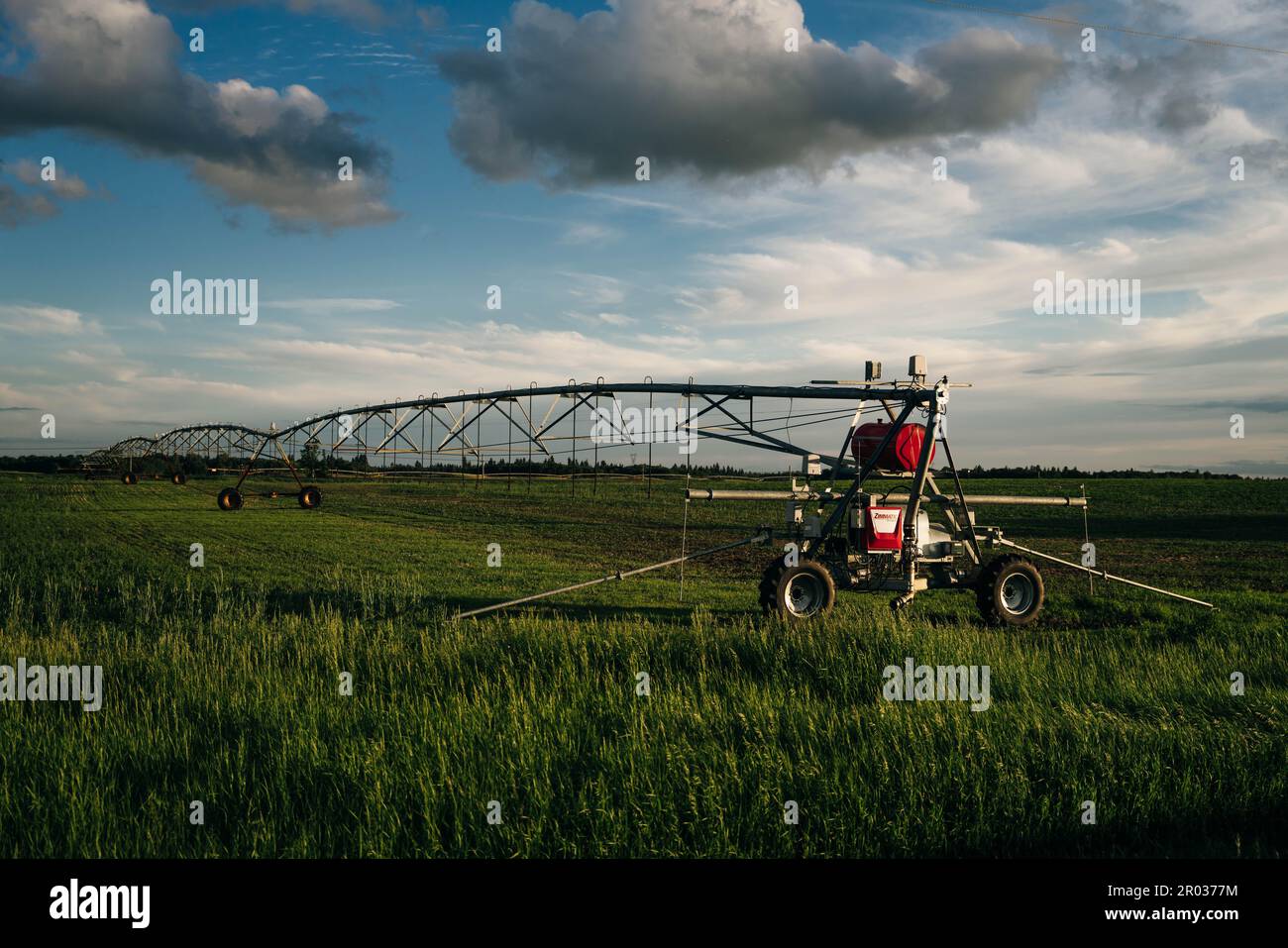 Bewässerung auf einem großen Feld mit einer selbstfahrenden Sprinkleranlage mit Mittelschaukel. Moderne Landwirtschaftstechnologien. Industrielle Erzeugung von Agrarerzeugnissen Stockfoto
