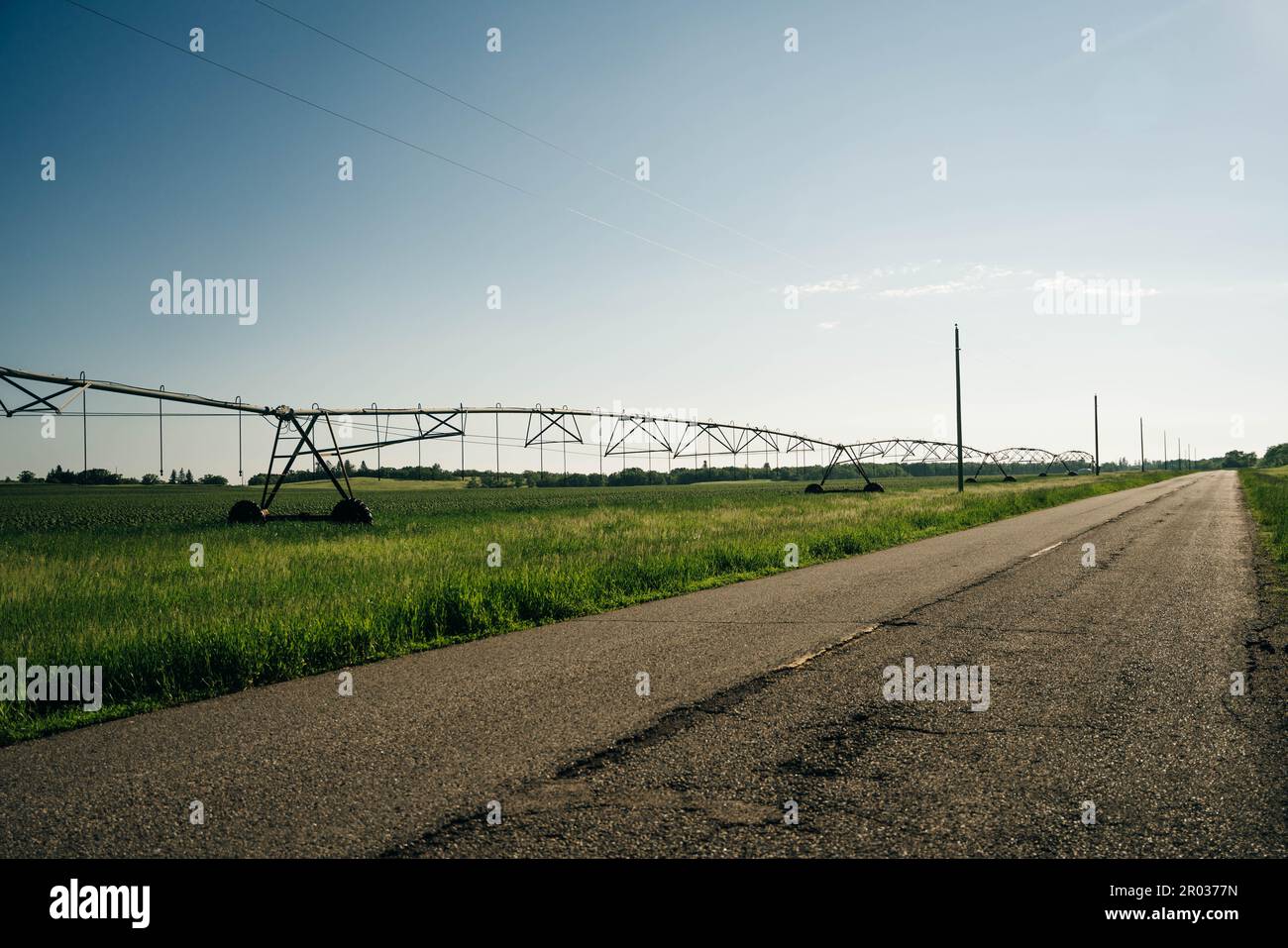 Bewässerung auf einem großen Feld mit einer selbstfahrenden Sprinkleranlage mit Mittelschaukel. Moderne Landwirtschaftstechnologien. Industrielle Erzeugung von Agrarerzeugnissen Stockfoto