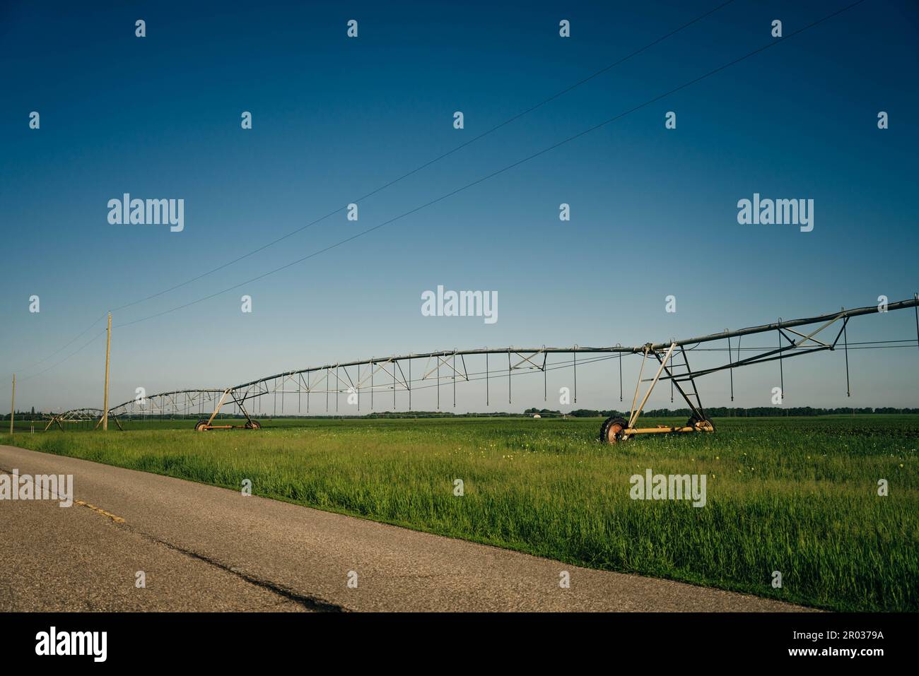 Bewässerung auf einem großen Feld mit einer selbstfahrenden Sprinkleranlage mit Mittelschaukel. Moderne Landwirtschaftstechnologien. Industrielle Erzeugung von Agrarerzeugnissen Stockfoto
