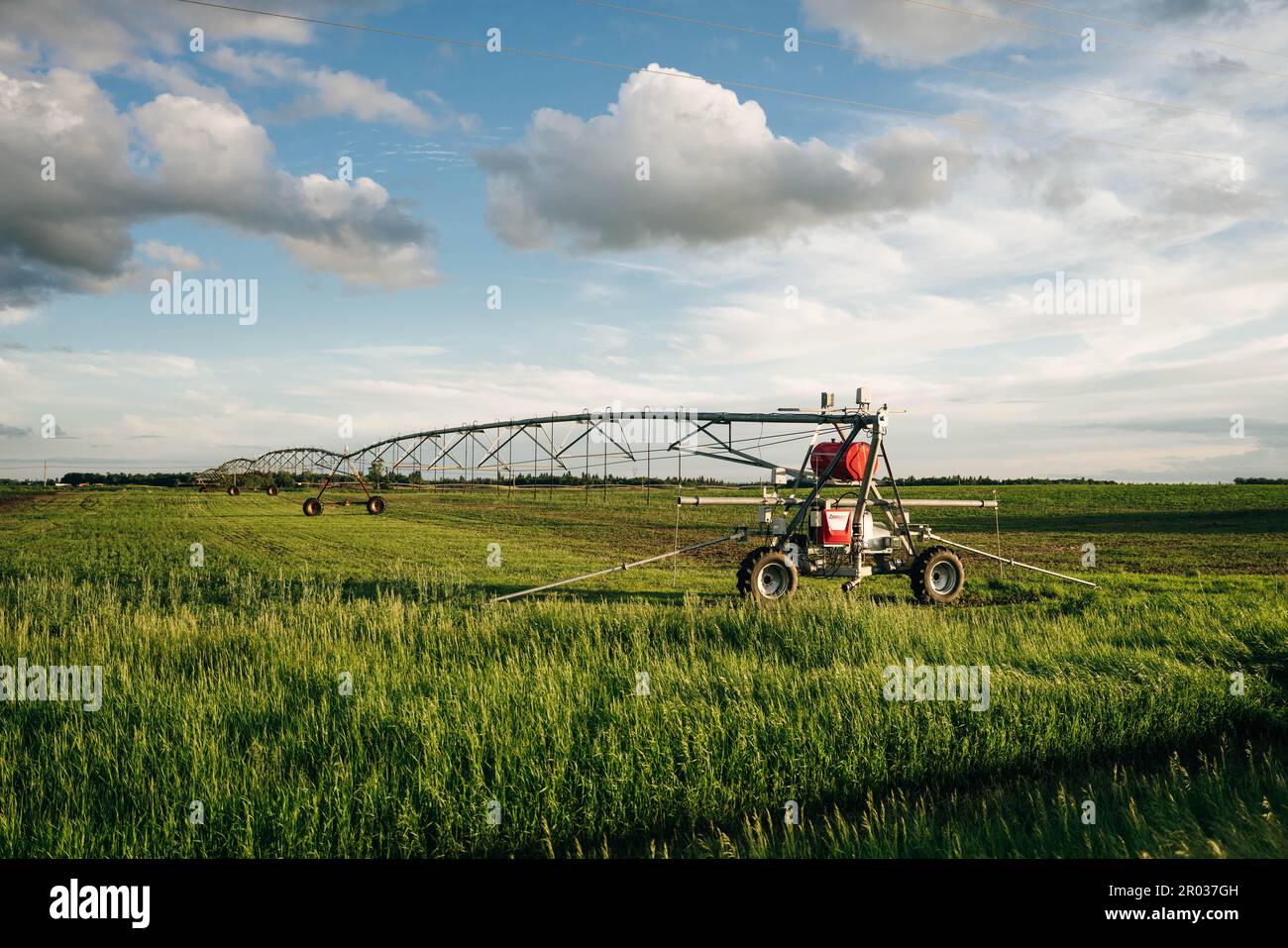 Bewässerung auf einem großen Feld mit einer selbstfahrenden Sprinkleranlage mit Mittelschaukel. Moderne Landwirtschaftstechnologien. Industrielle Erzeugung von Agrarerzeugnissen Stockfoto