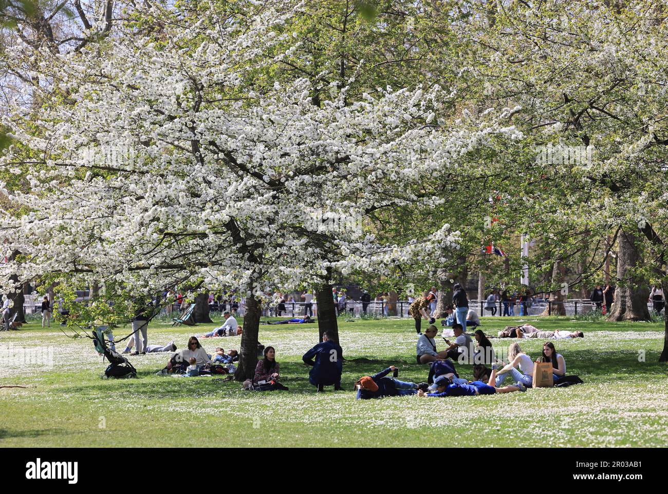 Frühlingssonne für das Feiertagswochenende Anfang Mai im St. James's Park im Zentrum von London, Großbritannien Stockfoto