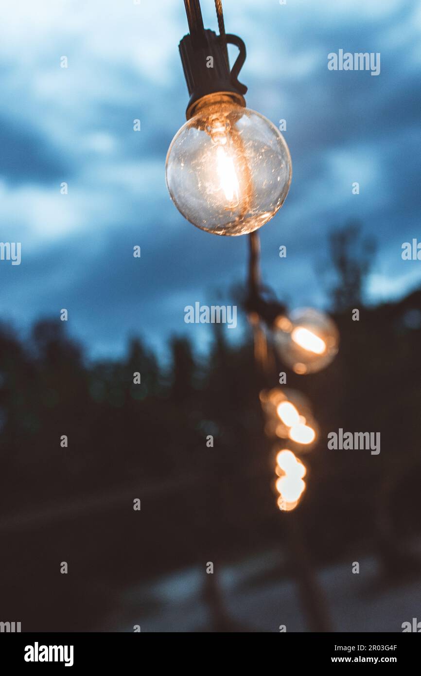 Von unten sehen Sie glänzende Glasbirnen, die abends an einem Seil in der Nähe von Bäumen hängen Stockfoto