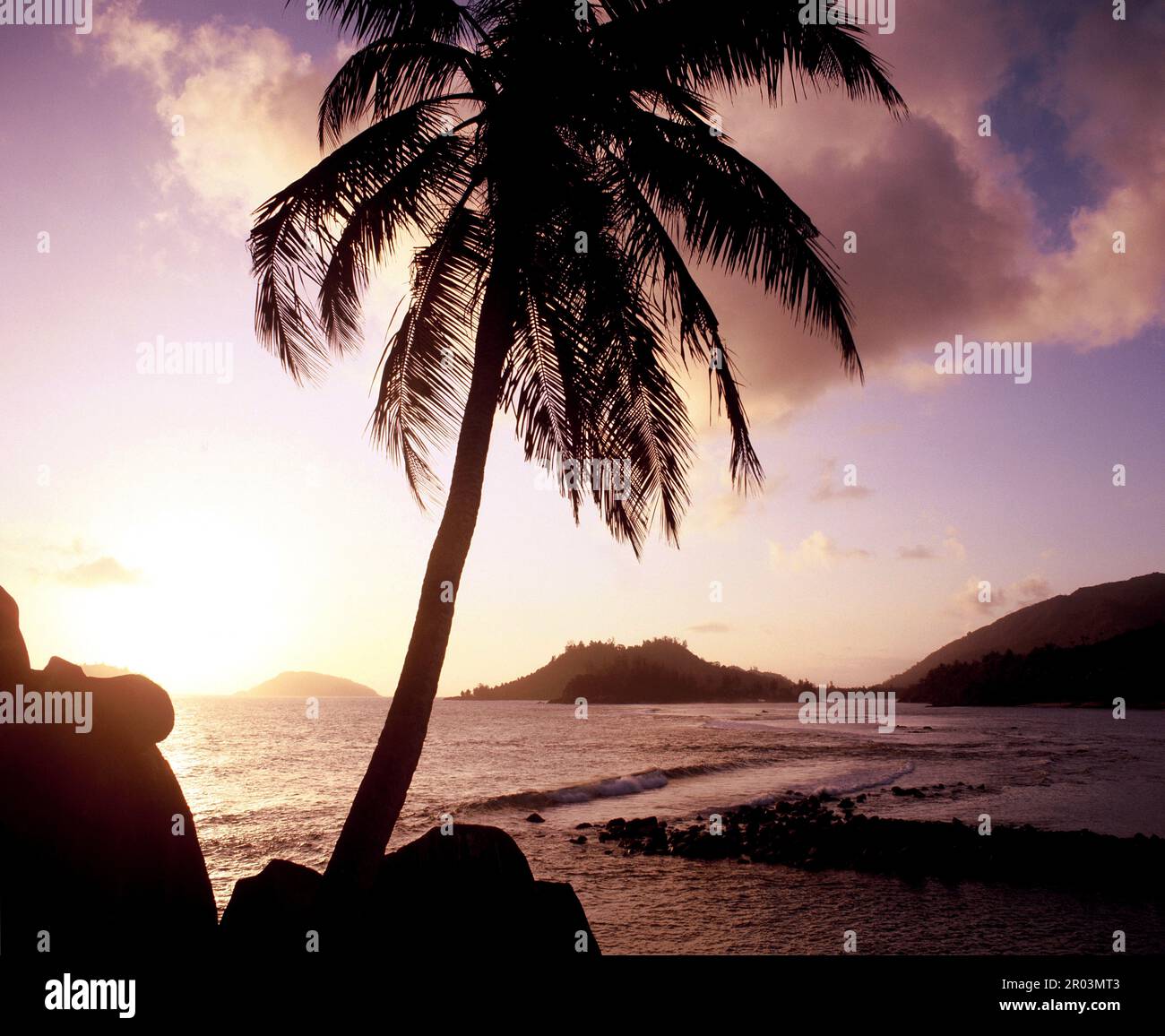 Die Seychellen. Mahé. Küste mit Kokospalme bei Sonnenuntergang. Stockfoto