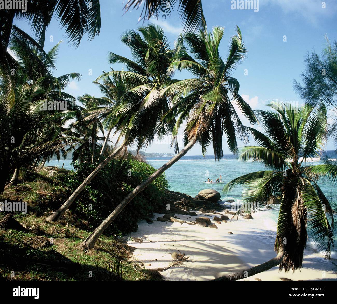 Die Seychellen. Mahé. Tropischer Strand. Stockfoto