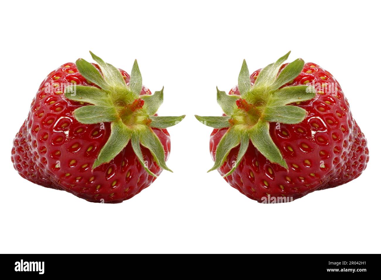 Erdbeere isoliert auf weißem Hintergrund. Frische und saftige Erdbeeren. Stockfoto