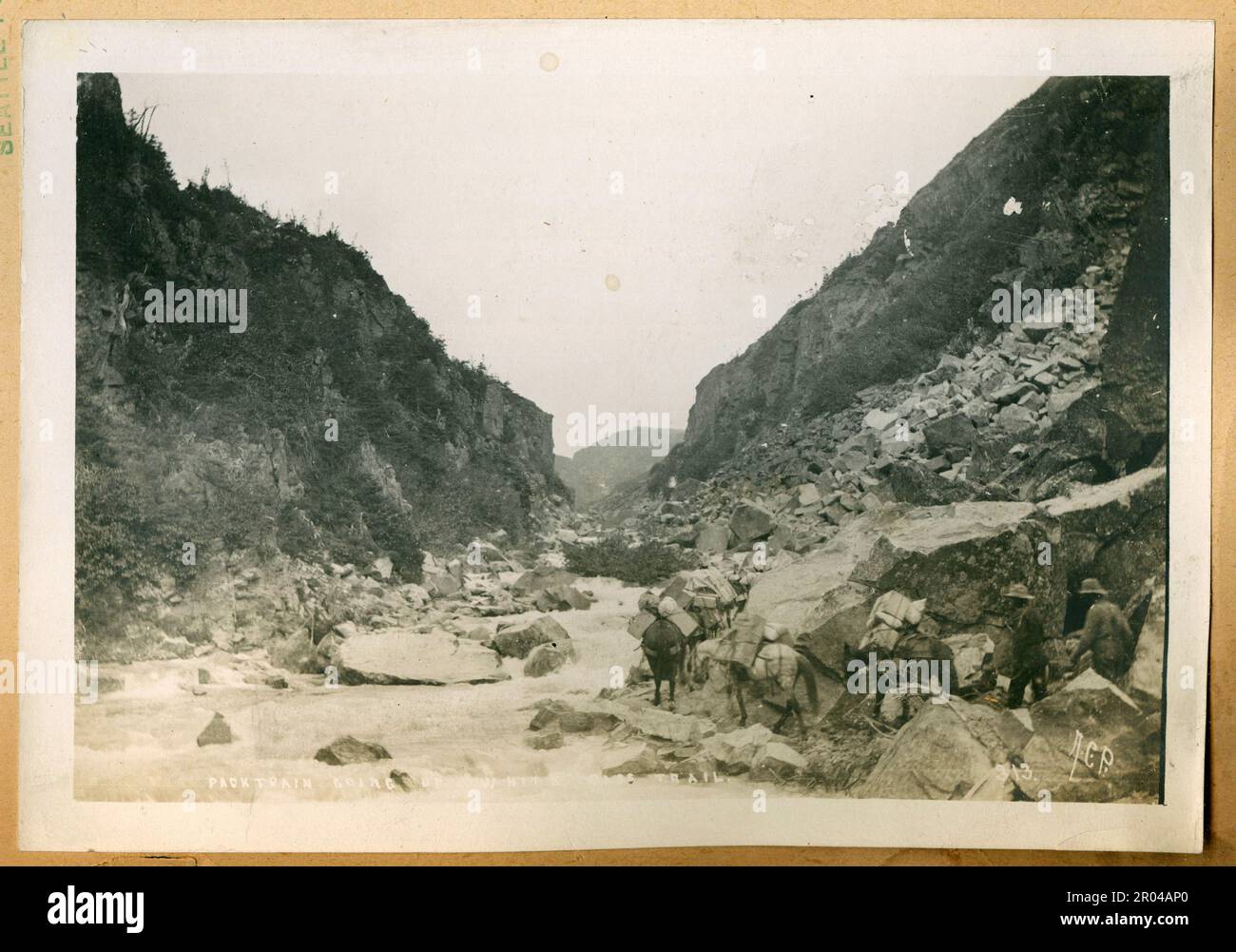 Goldsucher und Packpferde auf dem White Pass Trail, Kalifornien 1899. Der White Pass war eine der wichtigsten Routen der Goldsucher, die von Skagway zu den Goldfeldern des Yukon reisten. Stockfoto