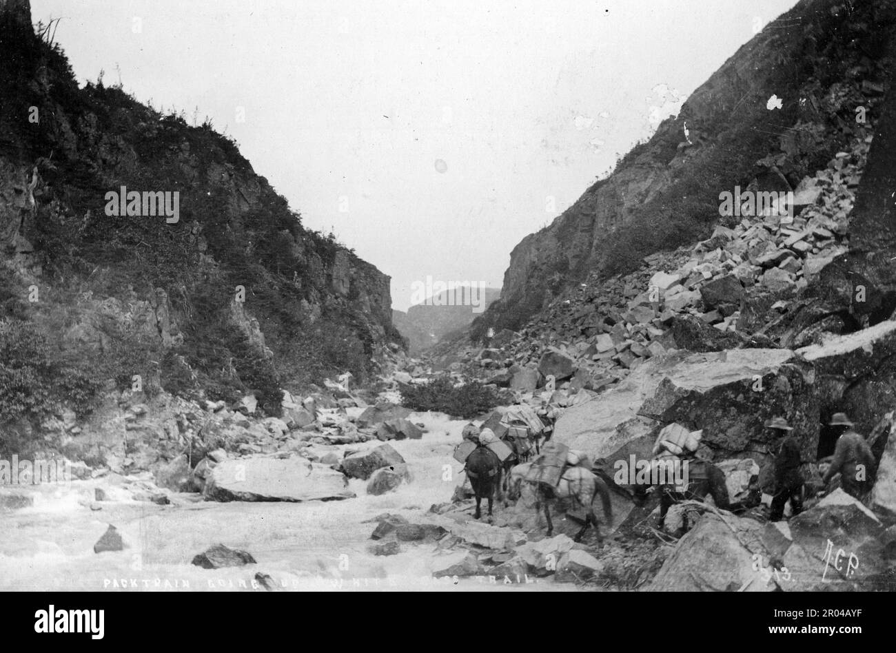 Goldsucher und Packpferde auf dem White Pass Trail, Kalifornien 1899. Der White Pass war eine der wichtigsten Routen der Goldsucher, die von Skagway zu den Goldfeldern des Yukon reisten. Stockfoto
