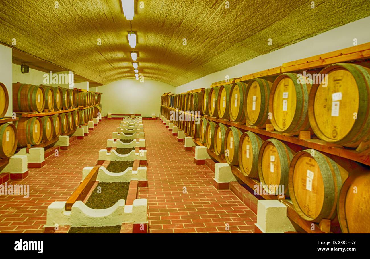 Eichenfässer Wein im Keller Stockfoto