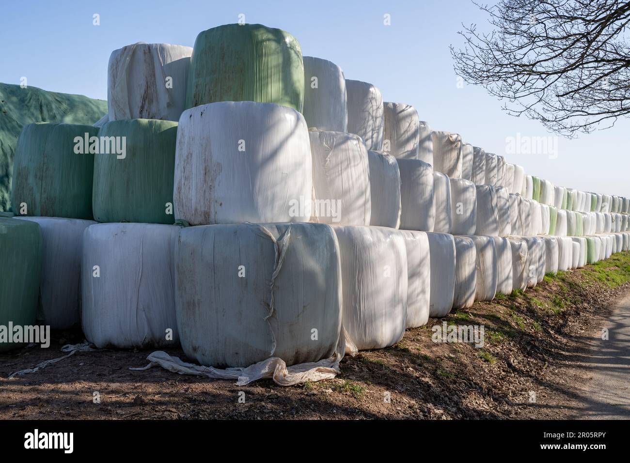 Viele haben an einem sonnigen Tag mit blauem Himmel im Frühling Heuballen am Rande einer Landstraße gewickelt und gestapelt Stockfoto