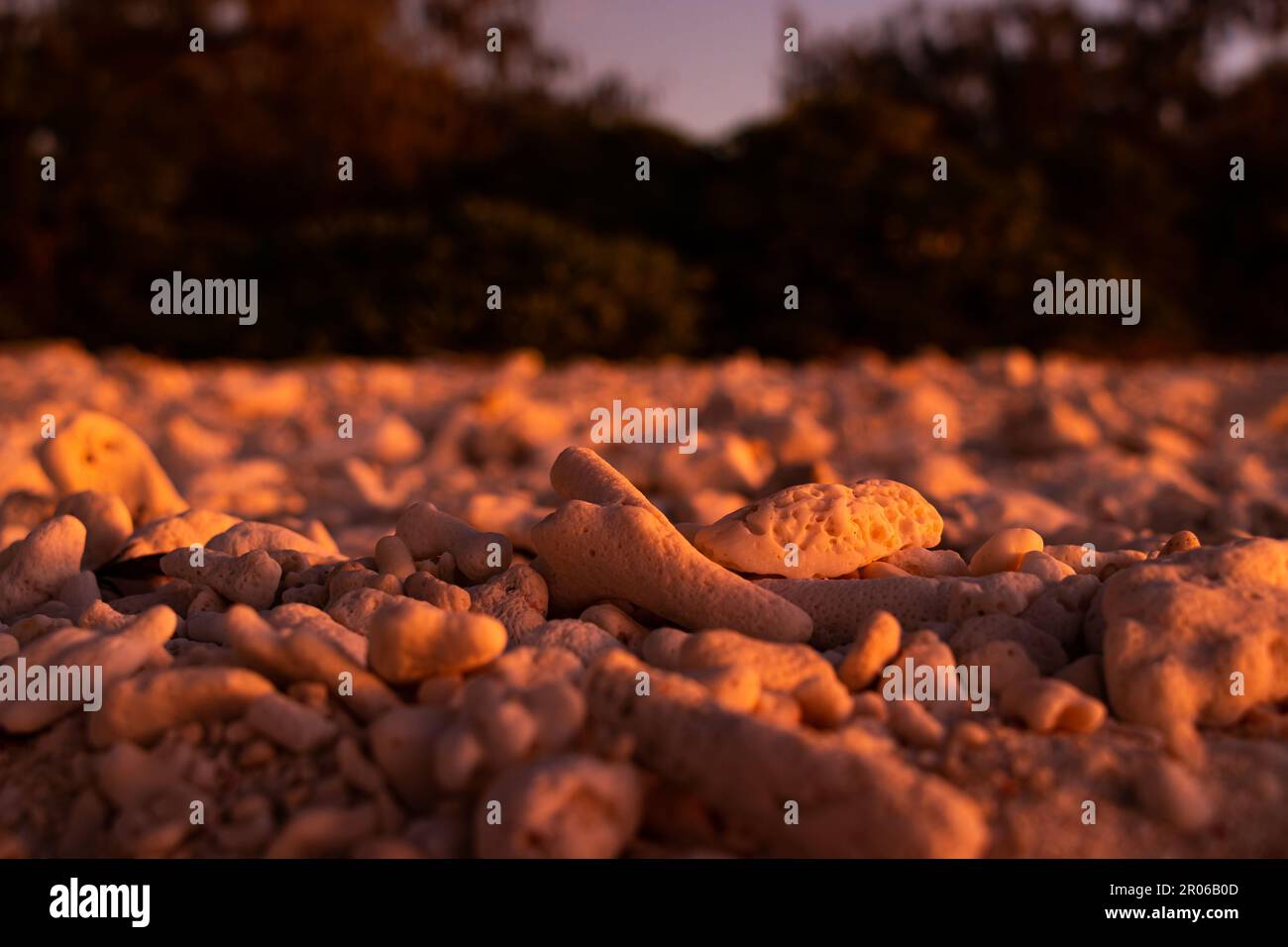 Sonnenuntergang auf Wilson Island, Great Barrier Reef, Queensland Australien Stockfoto