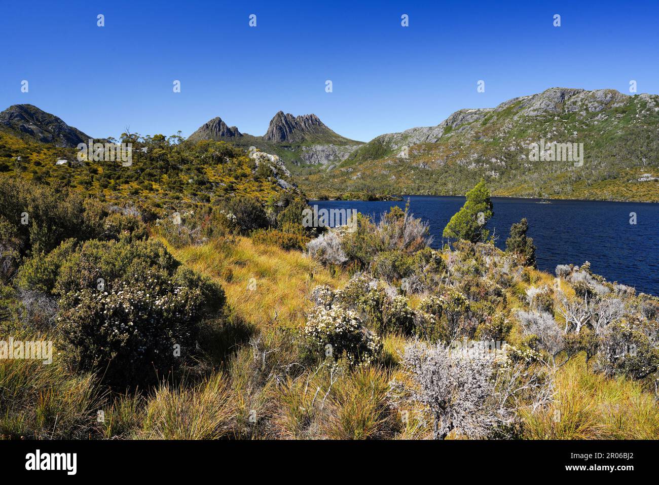 Der Cradle Mountain NP in Tasmanien, Australien, ist wirklich eine Schönheit. Von einfachen Spaziergängen rund um Dove Lake bis hin zum belohnten Cradle Mountain selbst. Stockfoto