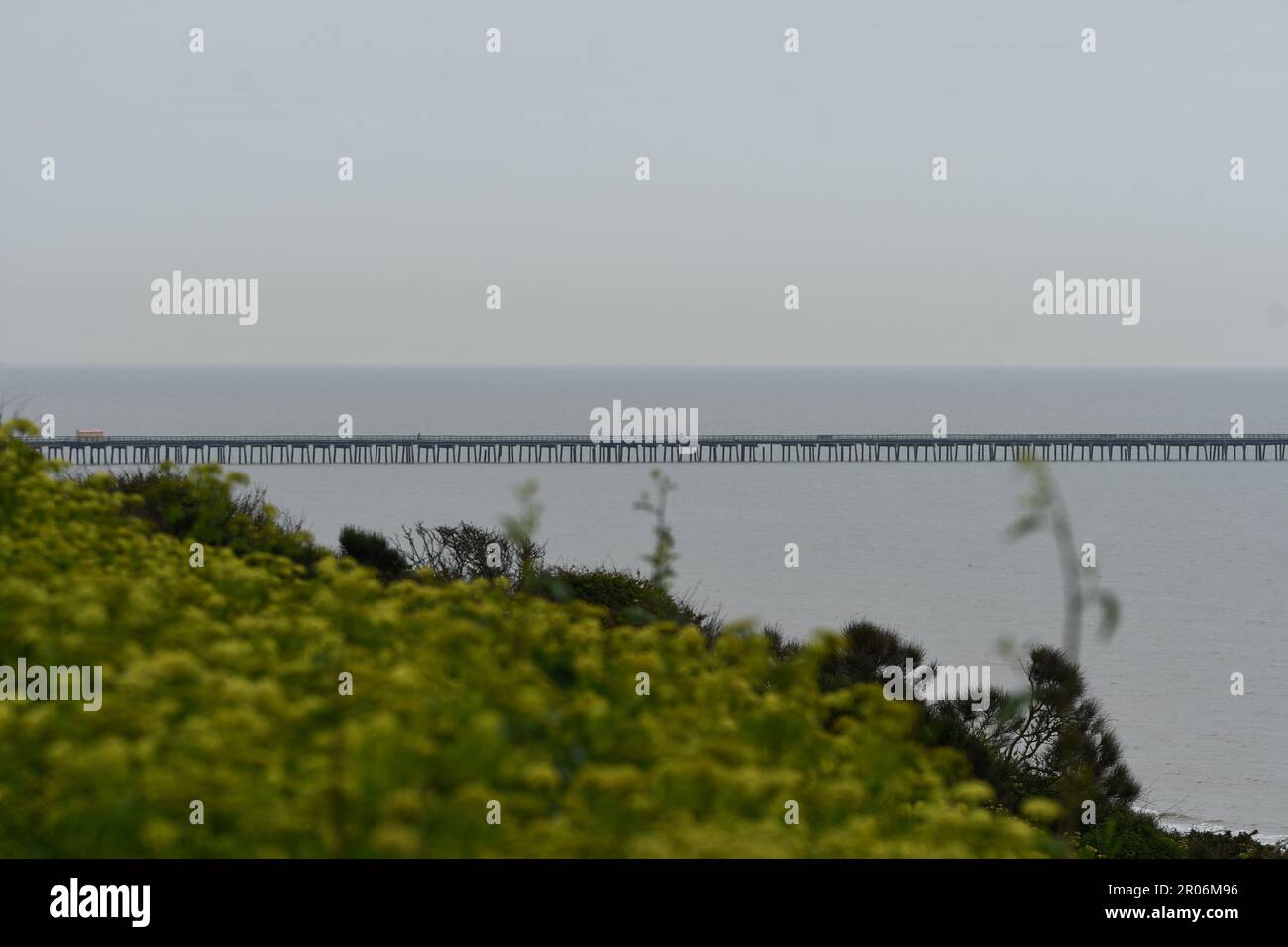 Pier Walton-on-the-Naze Stockfoto