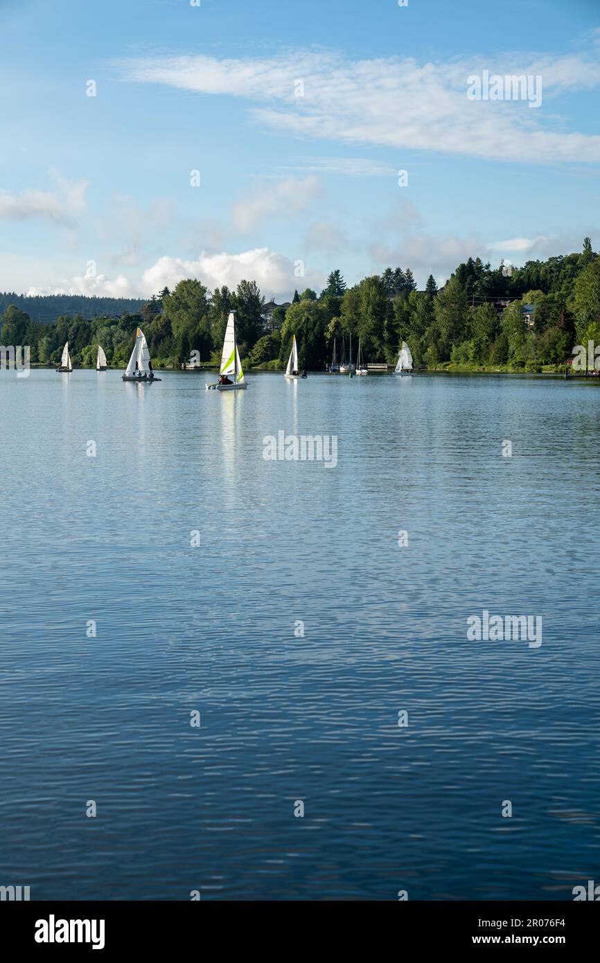 Segelboote auf dem Lake Washington in Renton, Washington. Stockfoto