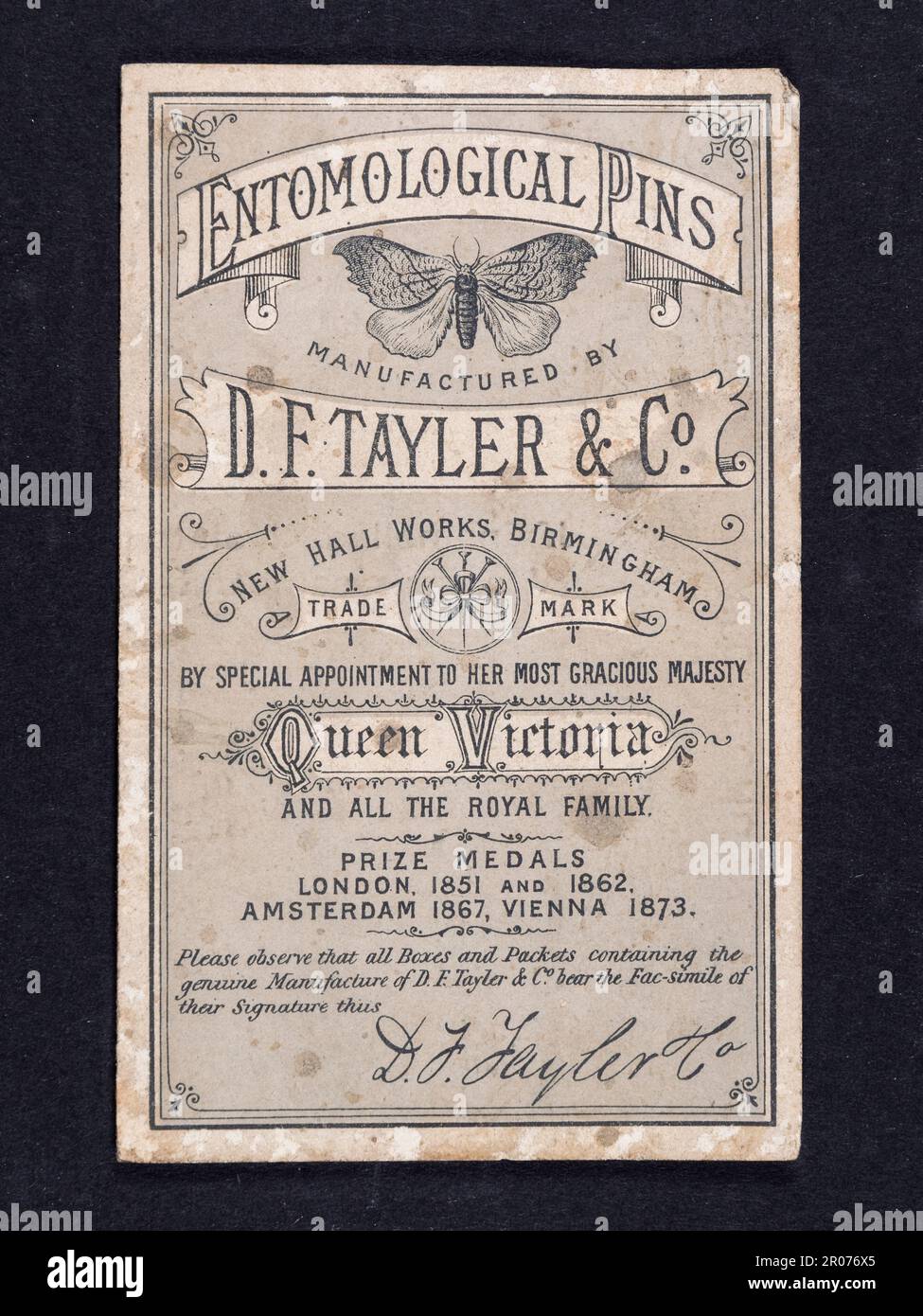 Antike entomologische Stifte, hergestellt von DF Tayler & Co., zur Insektenanzeige, London, UK. Stockfoto