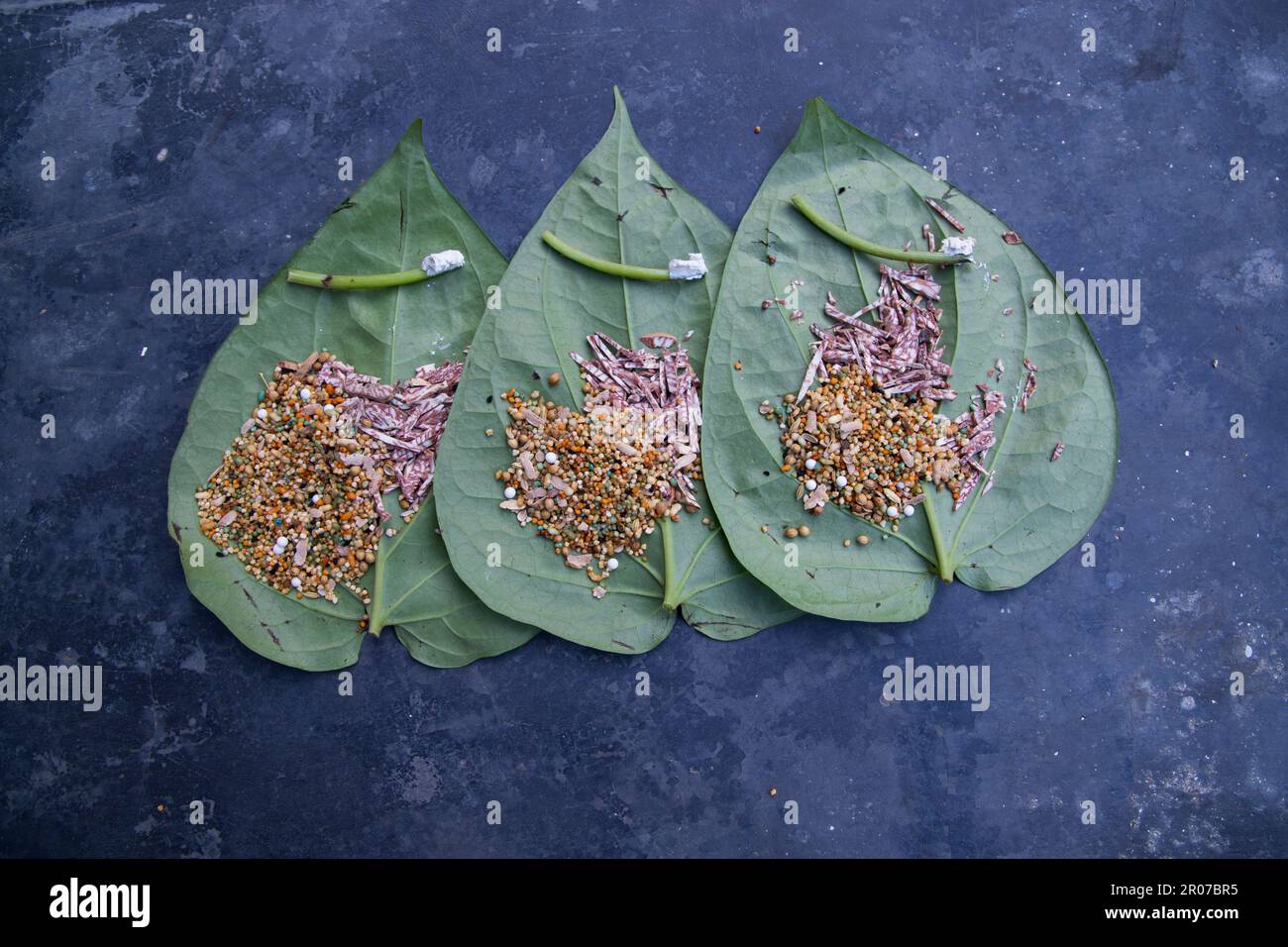 Dekoration Grüne Betelblätter auf dem Betonboden mit Betelnuss, süßem Masala und Limette Stockfoto