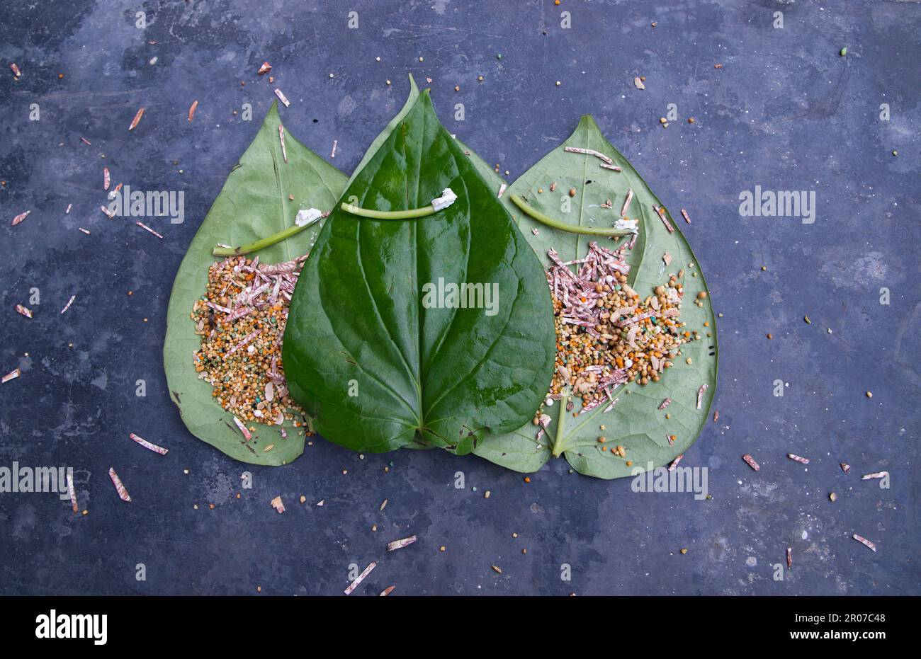 Dekoration Grüne Betelblätter auf dem Betonboden mit Betelnuss, süßem Masala und Limette Stockfoto