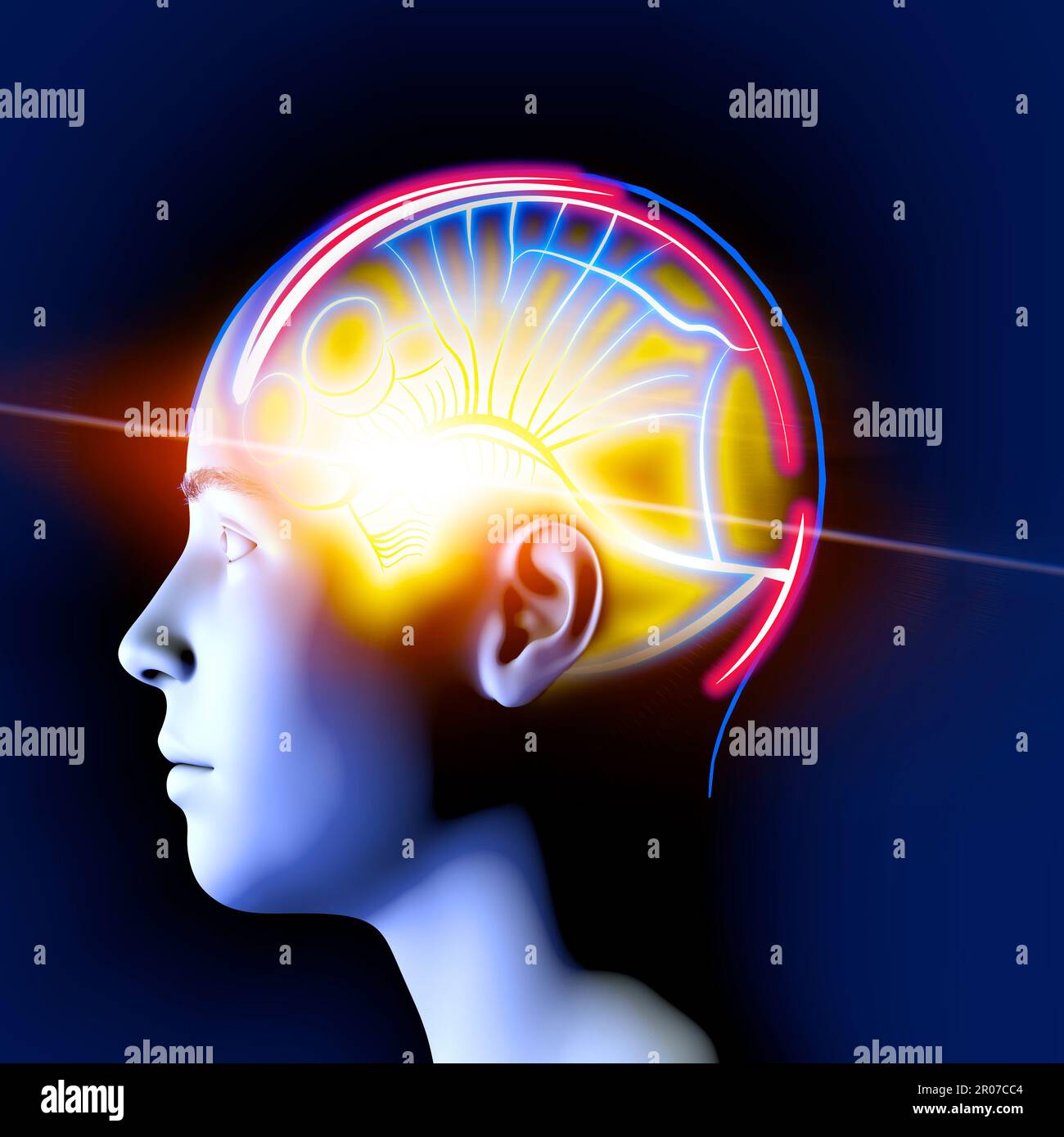 Neurologie, Philosophie: Verbindungen, die Entwicklung des Denkens und der Reflexion, die unendlichen Möglichkeiten von Gehirn und Geist. Menschliche Anatomie. Stockfoto