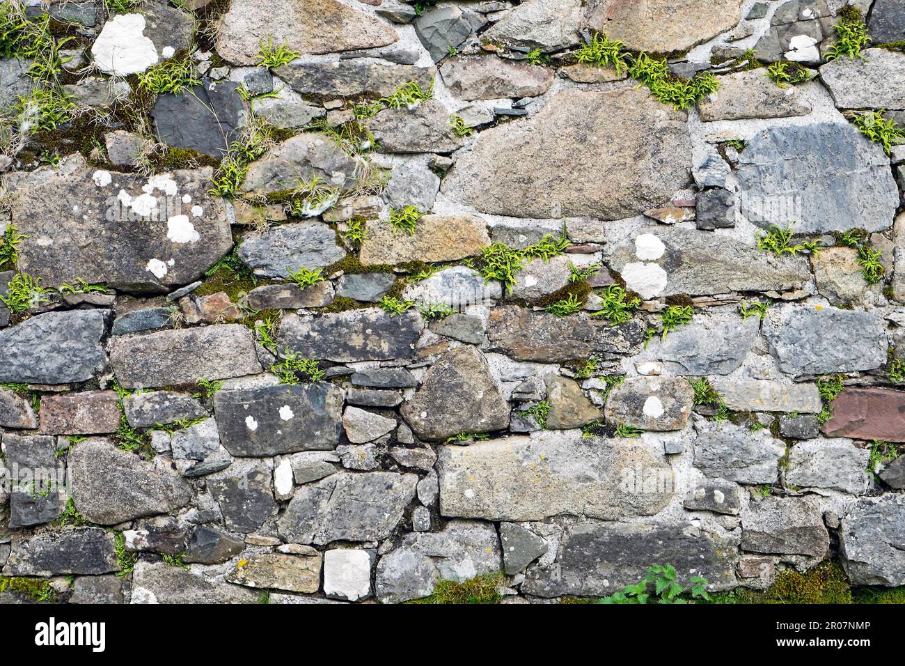 Alte Steinmauer mit viel grünem Moos Stockfoto