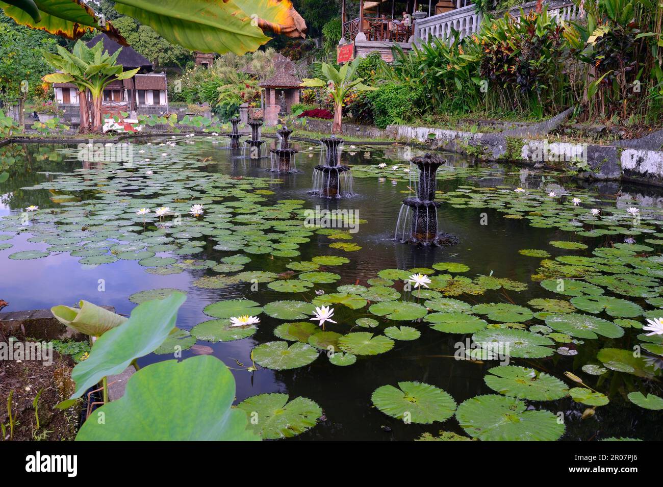 Teich mit Lotuspflanzen, Wassertempel Tirta Gangga, Bali, Indonesien Stockfoto