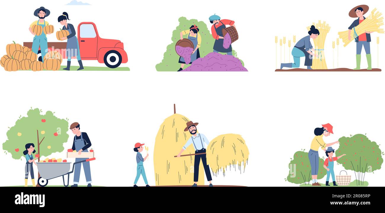 Obst- und Beerenpflücken, Herbstversammlungen. Familienanbau, Herbsternte im Garten. Landwirtschaftsbauern, Menschen im Garten vor kurzem Vektorszenen Stock Vektor