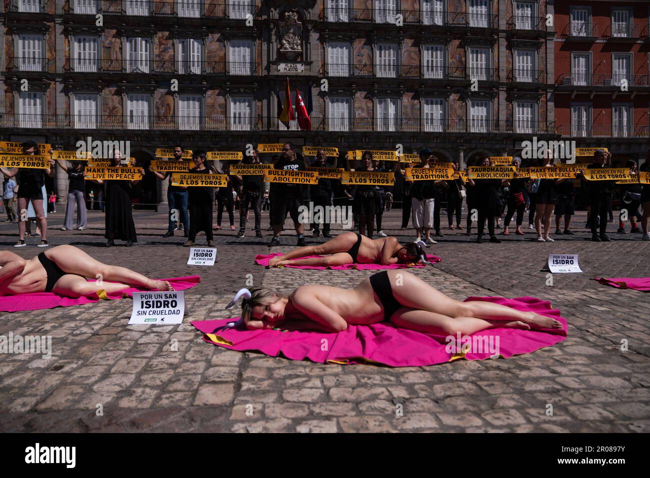 Aktivisten, die während der Demonstration auf dem Boden des Plaza Mayor lagen und einen toten Stier repräsentierten. Eindrucksvolle Aktionen von AnimaNaturalis-Aktivisten auf der Plaza Mayor im Stadtzentrum von Madrid gegen die Stierkampfmesse während der San Isidro Fiestas. Im Mai kommen die San Isidro Fiestas in Madrid an. Sie sind die authentischsten und traditionellsten in der Hauptstadt. Während dieser Festlichkeiten gibt es Platz für die traditionellsten Tänze zusammen mit den Konzerten der Gruppen des Moments, aber sie werden durch Folter und Tod von Dutzenden von Tieren in der Stierkampfarena beeinträchtigt. Die Stockfoto