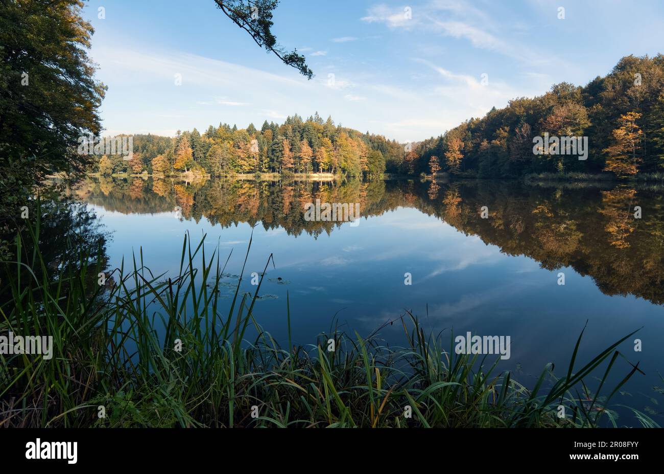 Wunderschöne Landschaft mit Wald im Wasser am Trakoscan-See in Kroatien, Grafschaft hrvatsko zagorje Stockfoto